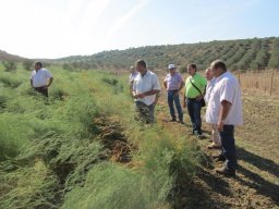 phoca_thumb_l_conociendo explotacin de un paisano de loja larache